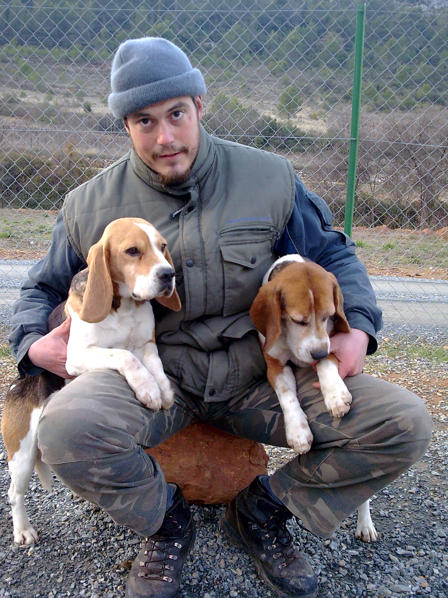 PUECH ROUCH ELEVAGE DE BEAGLE DU ROCHER DE NOTRE DAME PUECH ROUCH ELEVAGE DE BEAGLE DU ROCHER DE NOTRE DAME